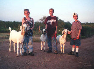 Weary boys (and kids) after a long day