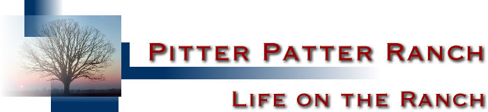 Pitter Patter - Life on the Ranch