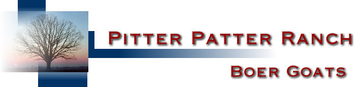 Pitter Patter Ranch - Boer Goats